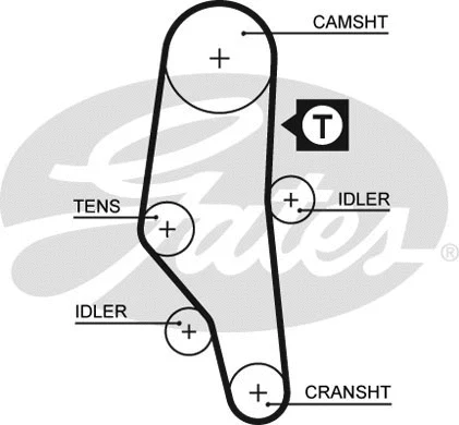 Timing Belt