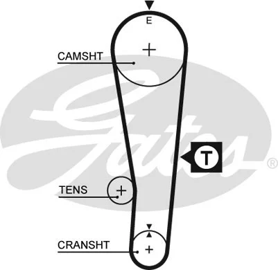 Timing Belt