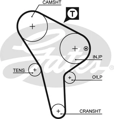 Timing Belt