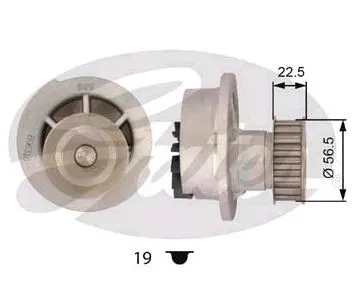 Water Pump, engine cooling (41080)