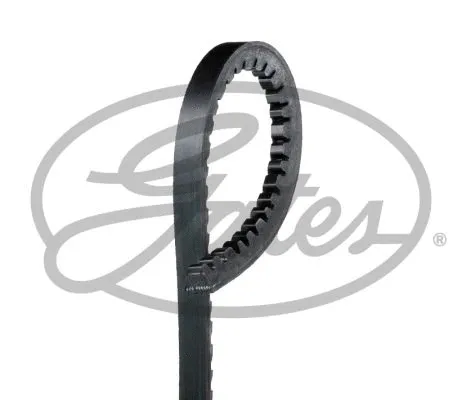 V-Belt (V13X1340)