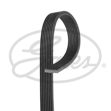 V-Ribbed Belt (8DPK1445)