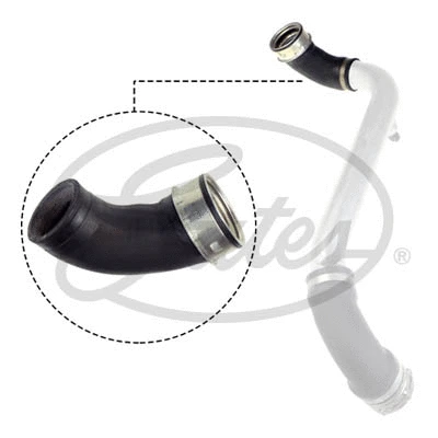 Charge Air Hose (09-0751)