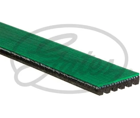 V-Ribbed Belt