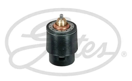 Thermostat, coolant (TH598105)