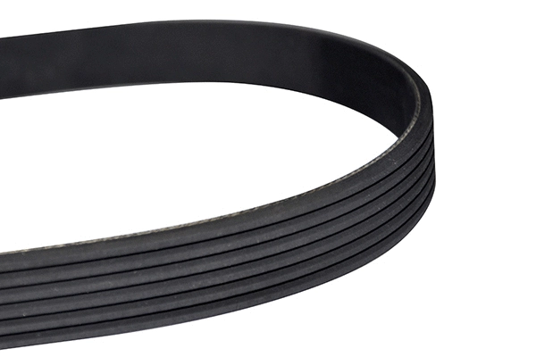 V-Ribbed Belt (10770)