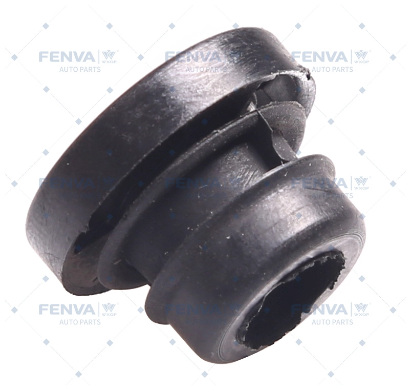 Holder, injector