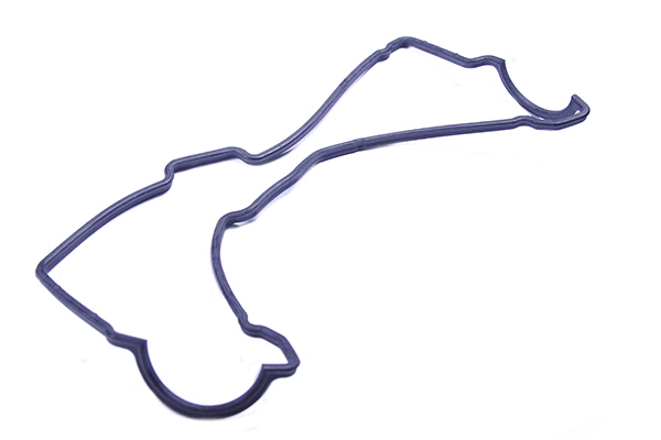 Gasket Set, cylinder head cover (10007)