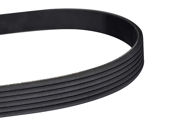 V-Ribbed Belt (10768)