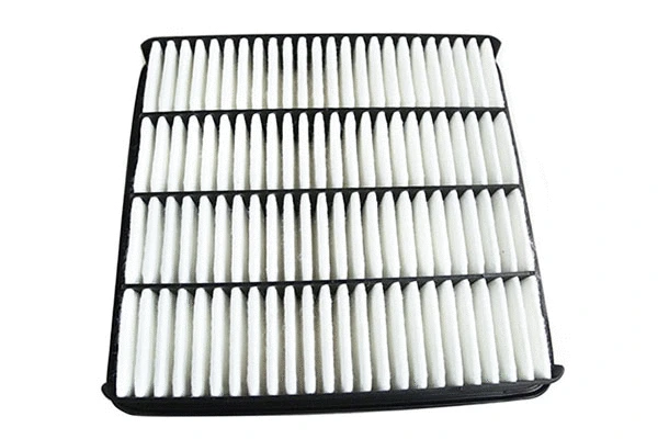 Air Filter (12376)