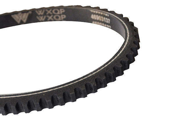 V-Belt (10741)