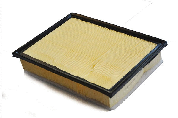 Air Filter (11061)