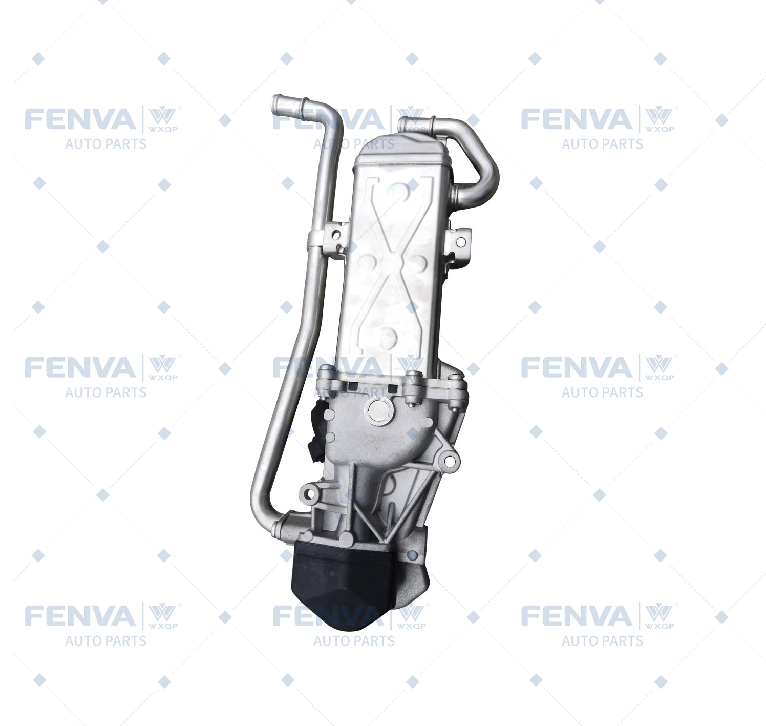 EGR Module