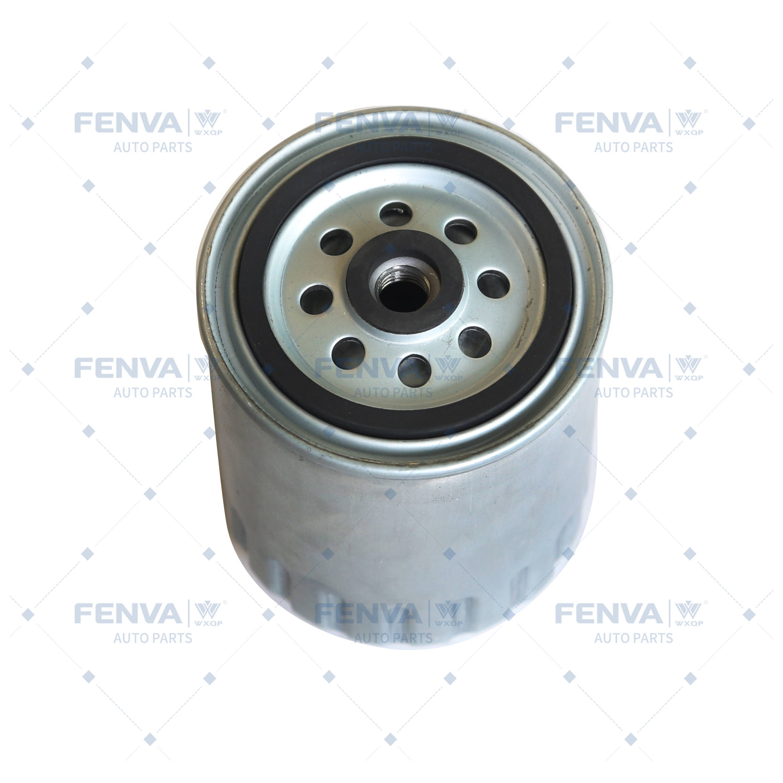 Fuel Filter (110751)