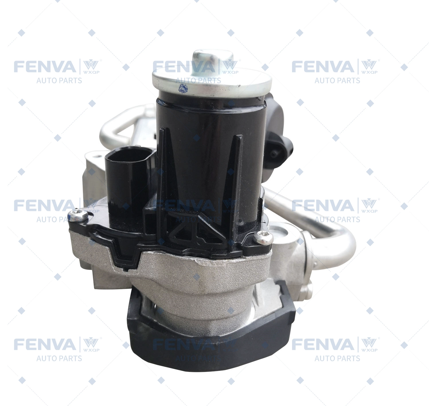 EGR Module