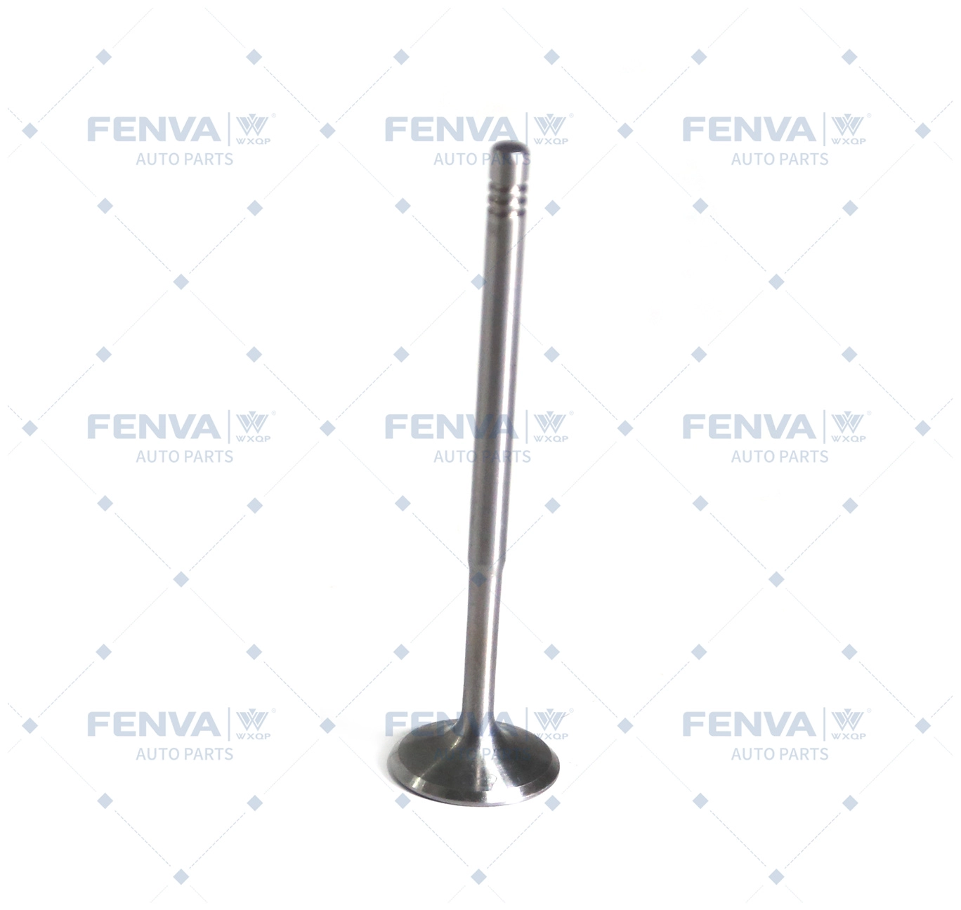 Intake Valve (311539)