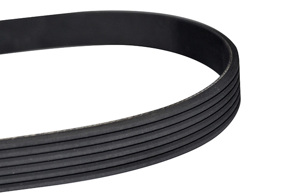V-Ribbed Belt (10835)
