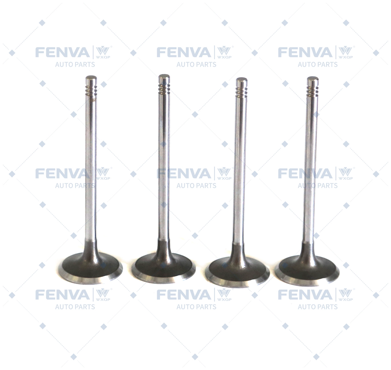 Intake Valve (210299)