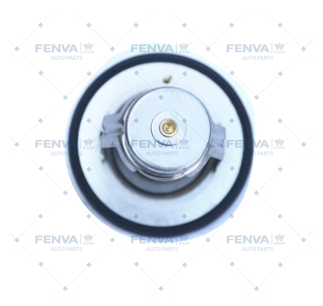 Thermostat, coolant (770469)