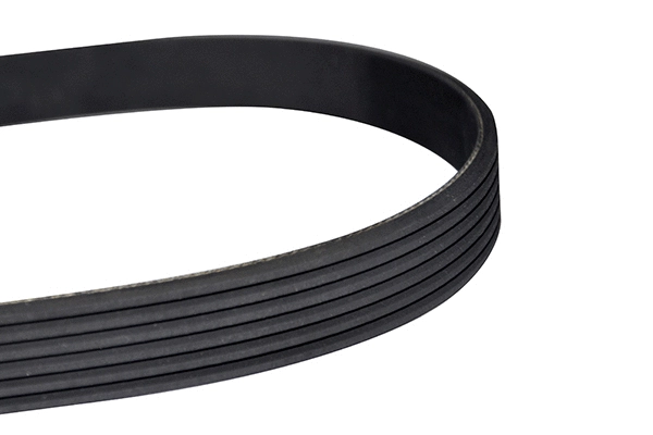 V-Ribbed Belt (10875)