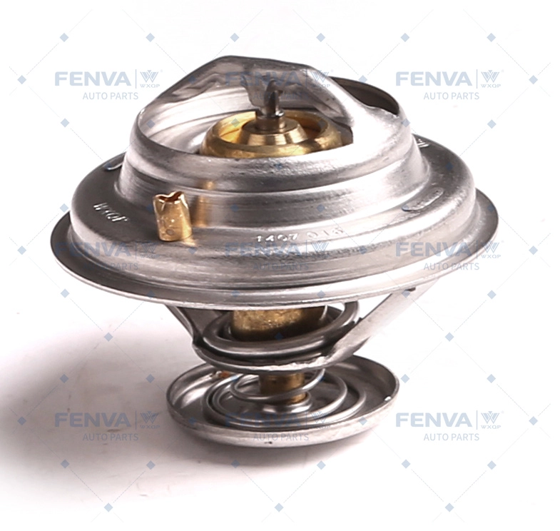 Thermostat, coolant (321063)