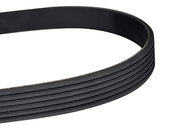 V-Ribbed Belt (10793)