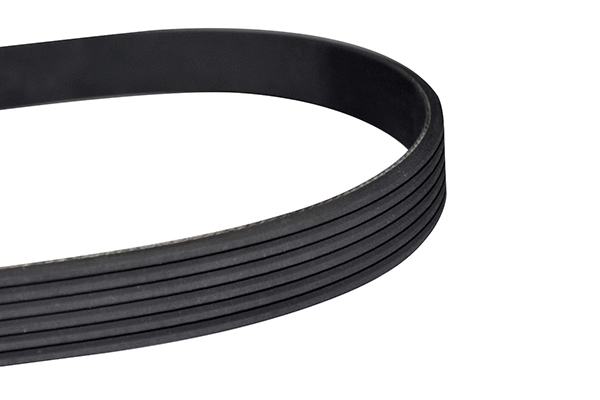 V-Ribbed Belt (10896)