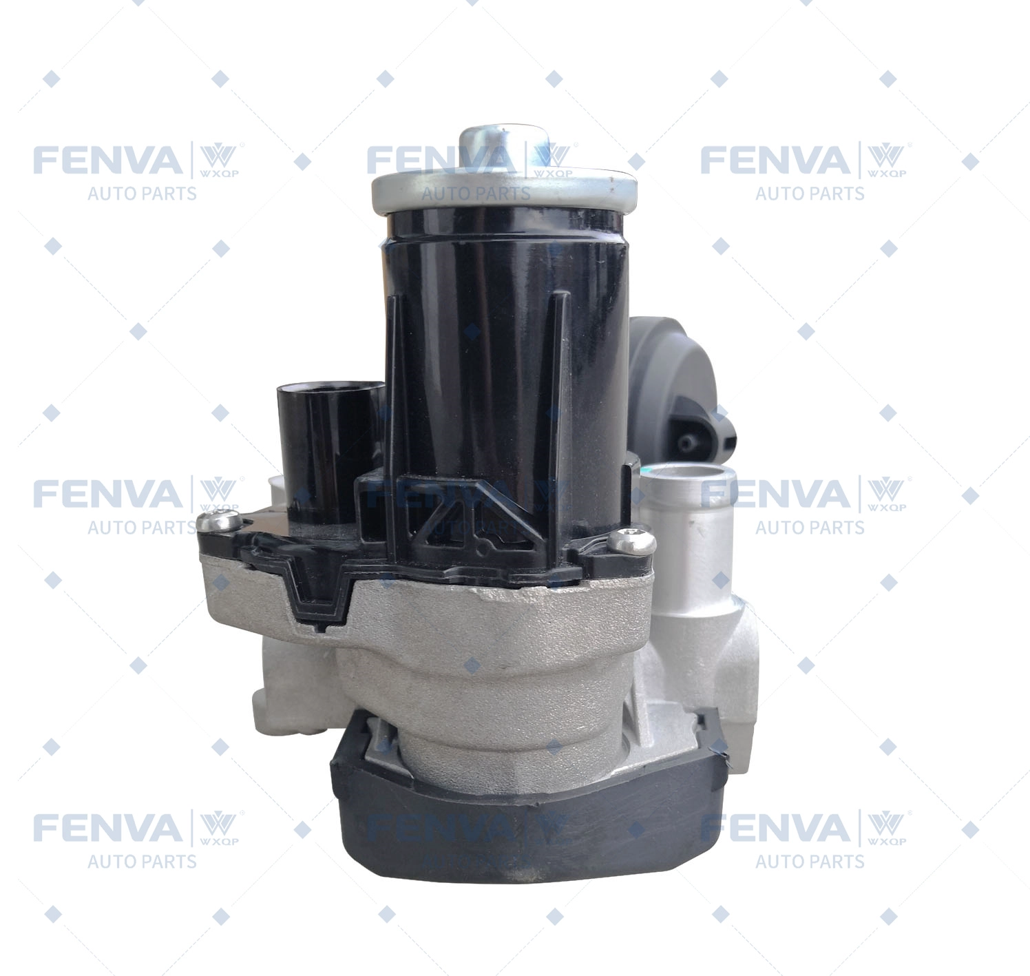 EGR Module (381691)