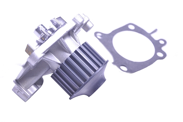 Water Pump & Timing Belt Kit