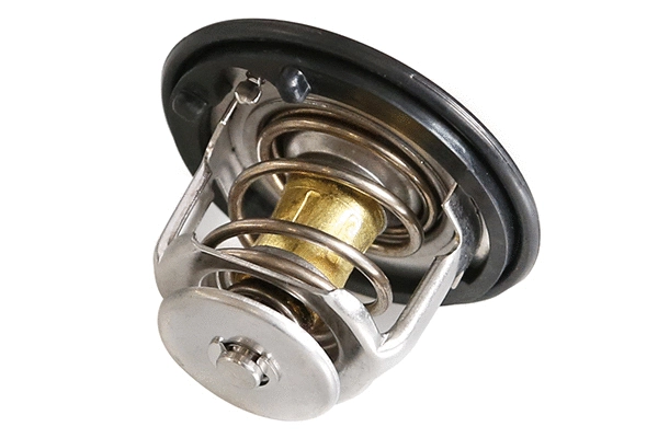 Thermostat, coolant (10983)