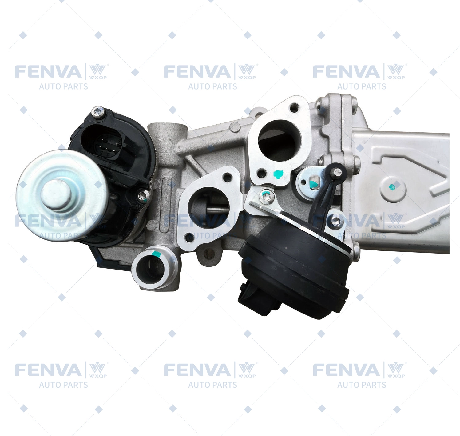 EGR Module