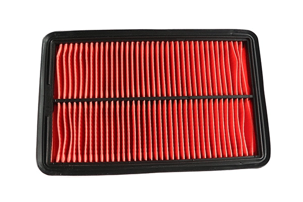 Air Filter (12490)