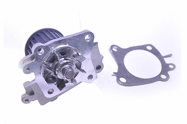 Water Pump & Timing Belt Kit (10164)