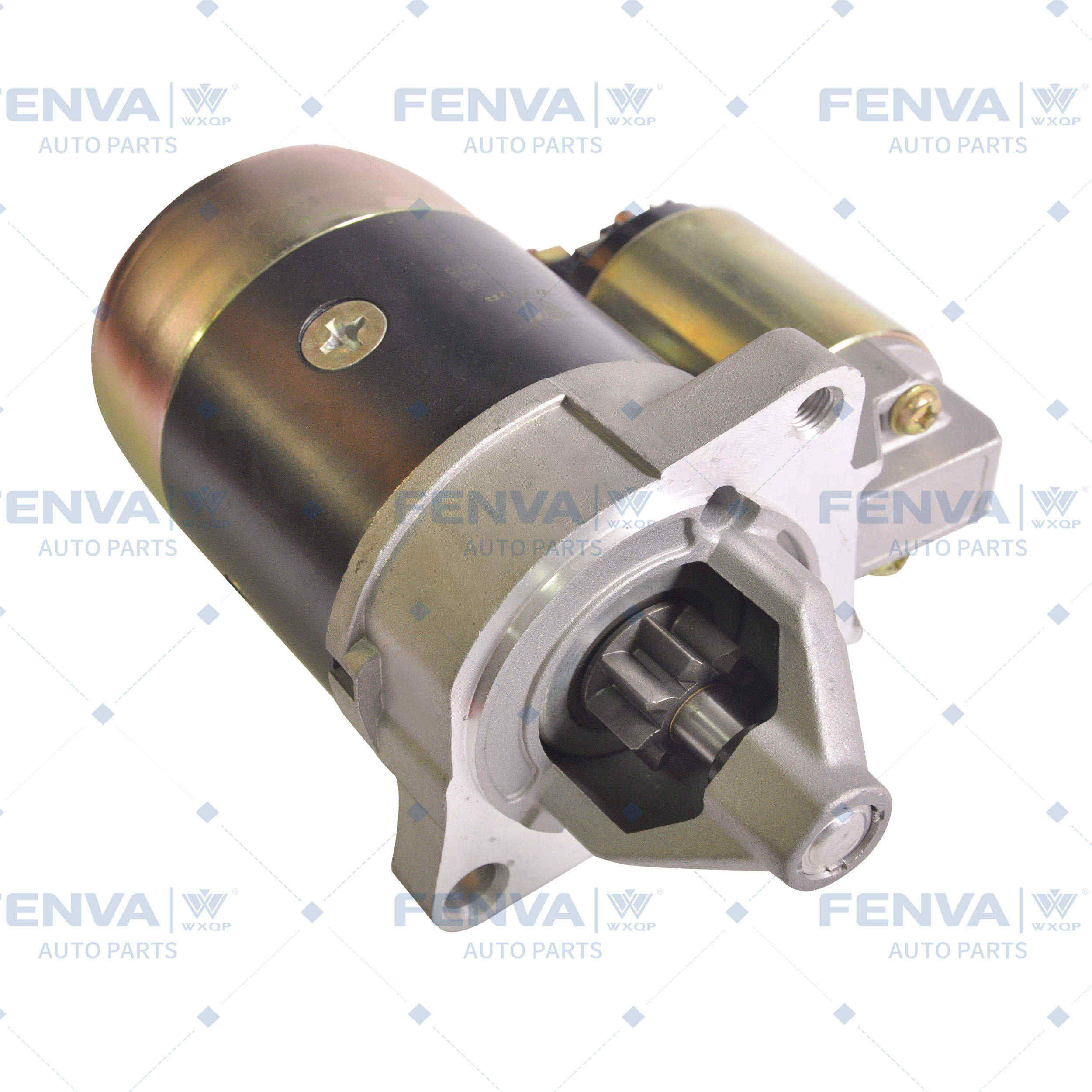 Starter (450011)