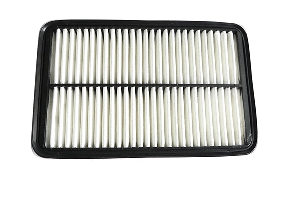 Air Filter (12401)