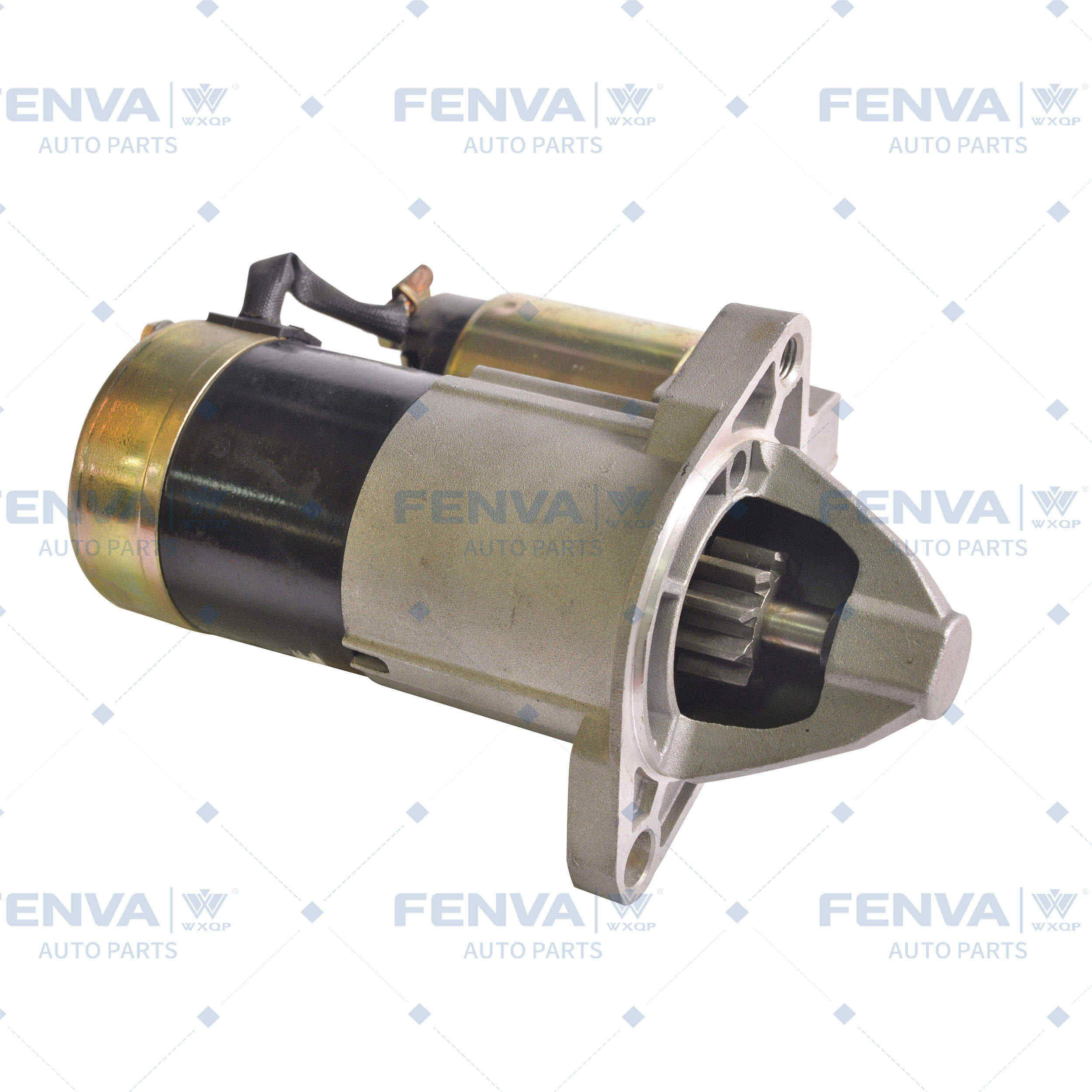 Starter (450021)