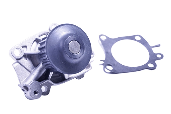 Water Pump & Timing Belt Kit