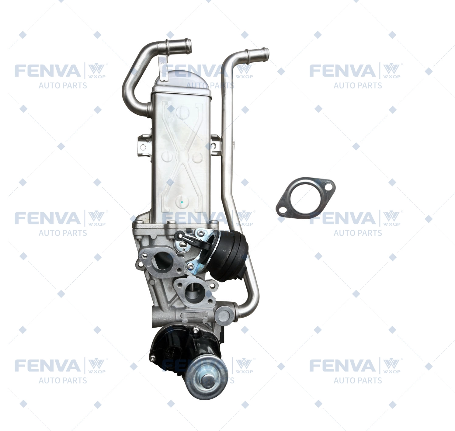 EGR Module