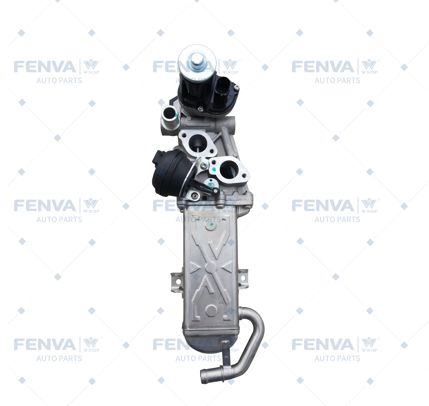 EGR Module