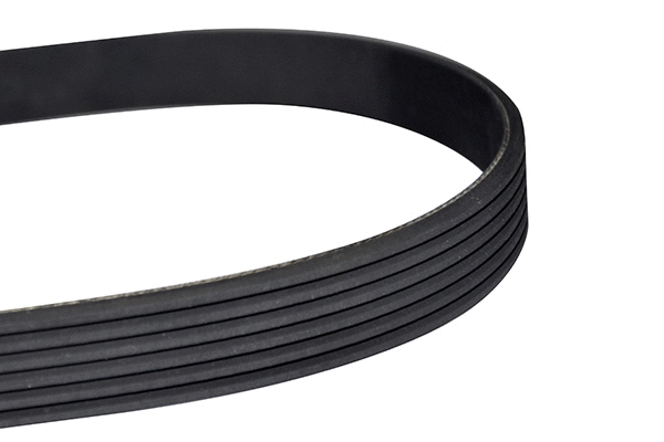 V-Ribbed Belt (10839)