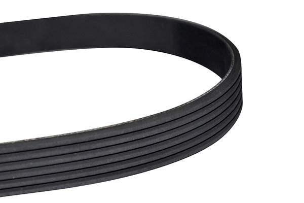 V-Ribbed Belt (10796)