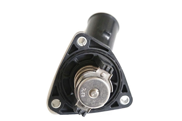Thermostat, coolant (12091)
