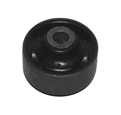 Sleeve, control arm mounting (300066)