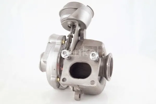 Charger, charging (supercharged/turbocharged) (5110862N)