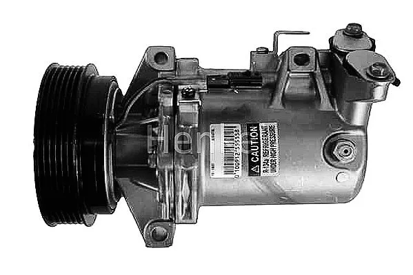Compressor, air conditioning (7111807R)