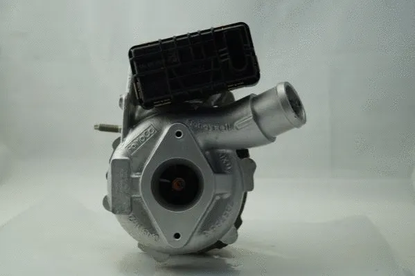 Charger, charging (supercharged/turbocharged) (5113222N)