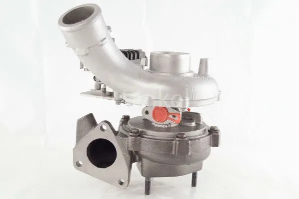 Charger, charging (supercharged/turbocharged) (5110616N)