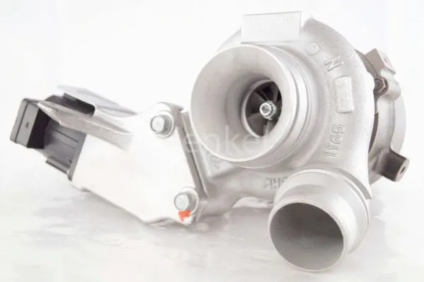 Charger, charging (supercharged/turbocharged)