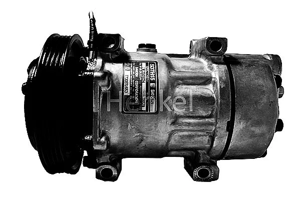 Compressor, air conditioning (7110021R)