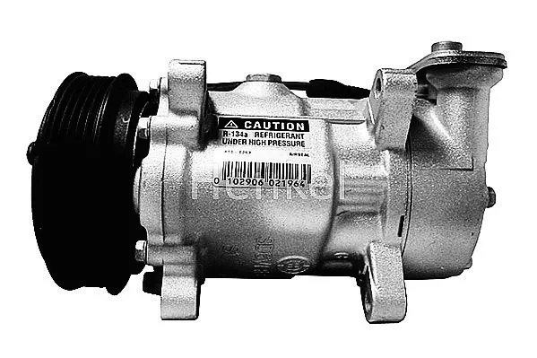 Compressor, air conditioning (7110263R)